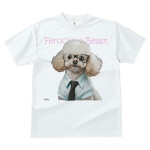 gCv[h TVc  j[NfUCfB[X t@  t vg JWA 킢 lԗp Mtg I Kl gCv[h Vc lN^C