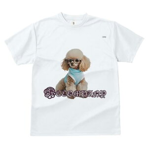 gCv[h TVc  j[NfUCfB[X t@  t vg JWA 킢 lԗp Mtg I Kl gCv[h 