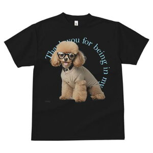 v[h TVc  j[NfUCfB[X t@  t vg JWA 킢 lԗp Mtg I Kl v[h Z[^[