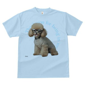 v[h TVc  j[NfUCY LbY t@  t vg JWA 킢 lԗp Mtg I Kl v[h Z[^[