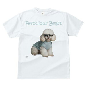 v[h TVc  j[NfUCY LbY t@  t vg JWA 킢 lԗp Mtg I Kl v[h Z[^[