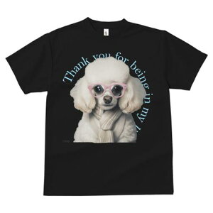 v[h TVc  j[NfUCY LbY t@  t vg JWA 킢 lԗp Mtg I Kl v[h XJ[t