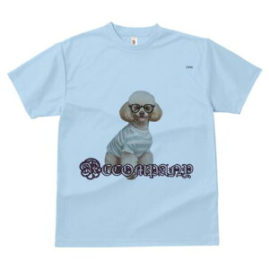 gCv[h TVc  j[NfUCY LbY t@  t vg JWA 킢 lԗp Mtg I Kl gCv[h XgCv