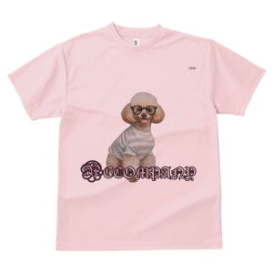 gCv[h TVc  j[NfUCY LbY t@  t vg JWA 킢 lԗp Mtg I Kl gCv[h XgCv