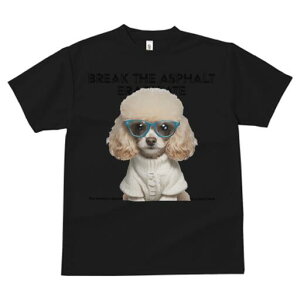 gCv[h TVc  j[NfUCfB[X t@  t vg JWA 킢 lԗp Mtg I Kl gCv[h Z[^[