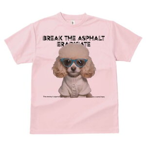 gCv[h TVc  j[NfUCY LbY t@  t vg JWA 킢 lԗp Mtg I Kl gCv[h Z[^[