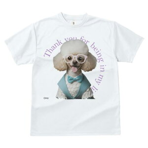 v[h TVc  j[NfUCfB[X t@  t vg JWA 킢 lԗp Mtg I Kl v[h lN^C 