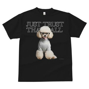 v[h TVc  j[NfUCY LbY t@  t vg JWA 킢 lԗp Mtg I Kl v[h Z[^[