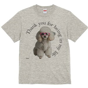 v[h TVc  j[NfUCY LbY t@  t vg JWA 킢 lԗp Mtg I Kl v[h