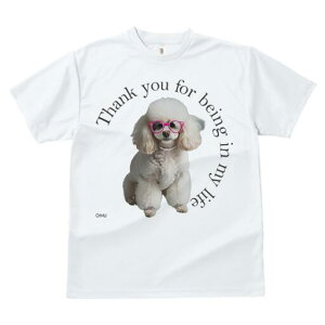 v[h TVc  j[NfUCfB[X t@  t vg JWA 킢 lԗp Mtg I Kl v[h