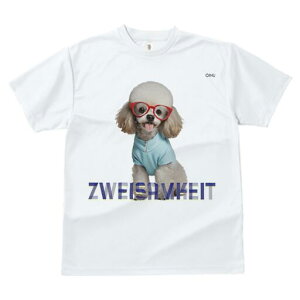 gCv[h TVc  j[NfUCfB[X t@  t vg JWA 킢 lԗp Mtg I Kl gCv[h 