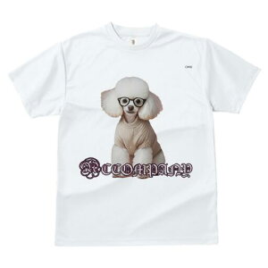 v[h TVc  j[NfUCfB[X t@  t vg JWA 킢 lԗp Mtg I Kl v[h Z[^[