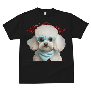 gCv[h TVc  j[NfUCfB[X t@  t vg JWA 킢 lԗp Mtg I Kl gCv[h o_i