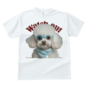 gCv[h TVc  j[NfUCfB[X t@  t vg JWA 킢 lԗp Mtg I Kl gCv[h o_i