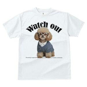 gCv[h TVc  j[NfUCfB[X t@  t vg JWA 킢 lԗp Mtg I Kl gCv[h 