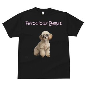 gCv[h TVc  j[NfUCfB[X t@  t vg JWA 킢 lԗp Mtg I Kl gCv[h