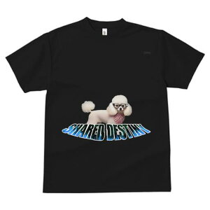 v[h TVc  j[NfUCfB[X t@  t vg JWA 킢 lԗp Mtg I Kl v[h XJ[t