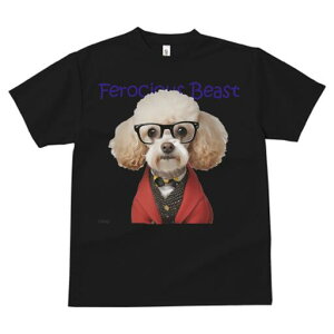 gCv[h TVc  j[NfUCfB[X t@  t vg JWA 킢 lԗp Mtg I Kl gCv[h X[c lN^C