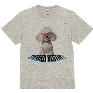 gCv[h TVc  j[NfUCY LbY t@  t vg JWA 킢 lԗp Mtg I Kl gCv[h