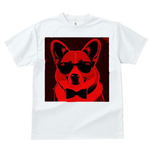 R[M[ TVc  j[NfUCfB[X t@  t vg JWA 킢 lԗp Mtg I TOX R[M[ lN^C