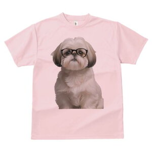 V[Y[ TVc  j[NfUCY LbY t@  t vg JWA 킢 lԗp Mtg I Kl V[Y[