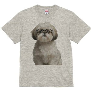 V[Y[ TVc  j[NfUCY LbY t@  t vg JWA 킢 lԗp Mtg I Kl V[Y[