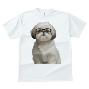 V[Y[ TVc  j[NfUCfB[X t@  t vg JWA 킢 lԗp Mtg I Kl V[Y[