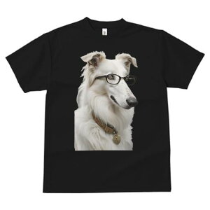 {]C TVc  j[NfUCfB[X t@  t vg JWA 킢 lԗp Mtg I Kl {]C 