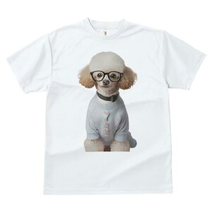 gCv[h TVc  j[NfUCfB[X t@  t vg JWA 킢 lԗp Mtg I Kl gCv[h Z[^[