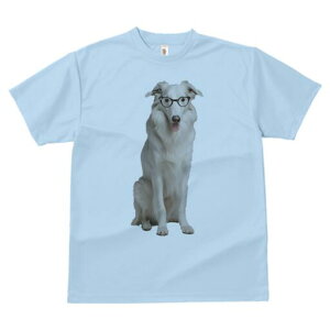 {]C TVc  j[NfUCY LbY t@  t vg JWA 킢 lԗp Mtg I Kl {]C