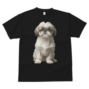 V[Y[ TVc  j[NfUCY LbY t@  t vg JWA 킢 lԗp Mtg I Kl V[Y[