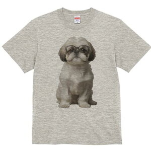 V[Y[ TVc  j[NfUCY LbY t@  t vg JWA 킢 lԗp Mtg I Kl V[Y[