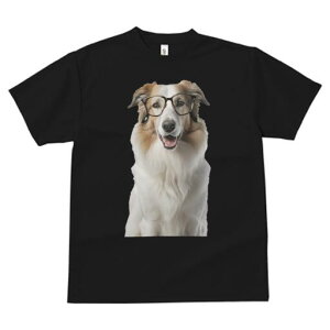 R[ TVc  j[NfUCfB[X t@  t vg JWA 킢 lԗp Mtg I Kl R[