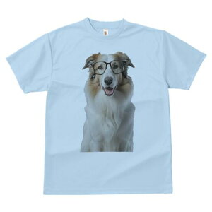 R[ TVc  j[NfUCY LbY t@  t vg JWA 킢 lԗp Mtg I Kl R[