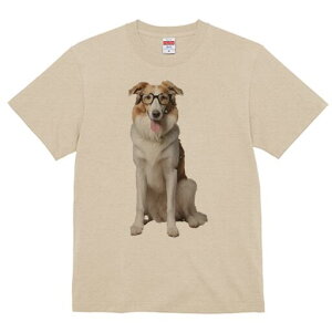 {[_[R[ TVc  j[NfUCY LbY t@  t vg JWA 킢 lԗp Mtg I Kl {[_[R[