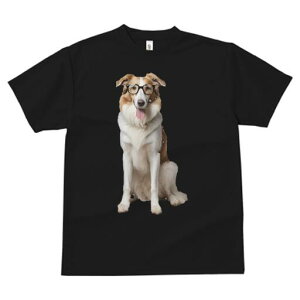 {[_[R[ TVc  j[NfUCfB[X t@  t vg JWA 킢 lԗp Mtg I Kl {[_[R[