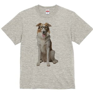 {[_[R[ TVc  j[NfUCY LbY t@  t vg JWA 킢 lԗp Mtg I Kl {[_[R[