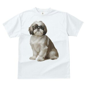 V[Y[ TVc  j[NfUCfB[X t@  t vg JWA 킢 lԗp Mtg I Kl V[Y[