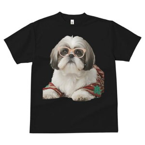 V[Y[ TVc  j[NfUCfB[X t@  t vg JWA 킢 lԗp Mtg I Kl V[Y[ Z[^[