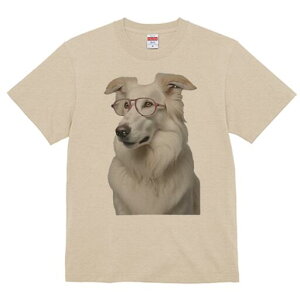 {[_[R[ TVc  j[NfUCY LbY t@  t vg JWA 킢 lԗp Mtg I Kl {[_[R[