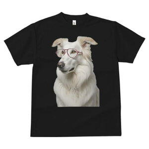 {[_[R[ TVc  j[NfUCfB[X t@  t vg JWA 킢 lԗp Mtg I Kl {[_[R[