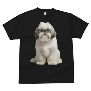 V[Y[ TVc  j[NfUCfB[X t@  t vg JWA 킢 lԗp Mtg I Kl V[Y[