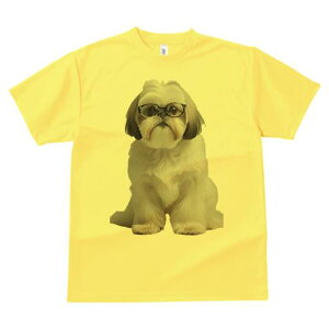 V[Y[ TVc  j[NfUCY LbY t@  t vg JWA 킢 lԗp Mtg I Kl V[Y[