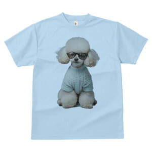 gCv[h TVc  j[NfUCY LbY t@  t vg JWA 킢 lԗp Mtg I Kl gCv[h Z[^[