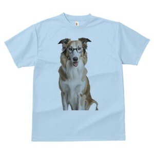 R[ TVc  j[NfUCY LbY t@  t vg JWA 킢 lԗp Mtg I Kl R[