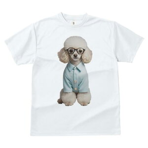 gCv[h TVc  j[NfUCfB[X t@  t vg JWA 킢 lԗp Mtg I Vc gCv[h Kl