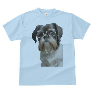 V[Y[ TVc  j[NfUCY LbY t@  t vg JWA 킢 lԗp Mtg I Kl V[Y[