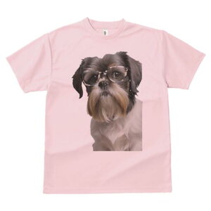 V[Y[ TVc  j[NfUCY LbY t@  t vg JWA 킢 lԗp Mtg I Kl V[Y[