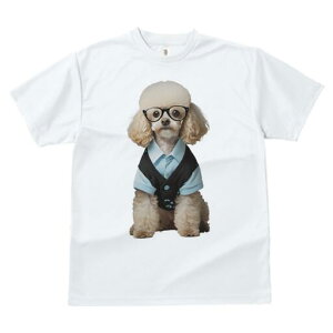 gCv[h TVc  j[NfUCfB[X t@  t vg JWA 킢 lԗp Mtg I Kl gCv[h Vc xXg