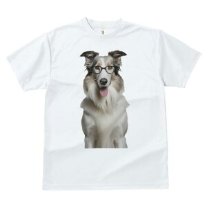 {[_[R[ TVc  j[NfUCfB[X t@  t vg JWA 킢 lԗp Mtg I Kl {[_[R[